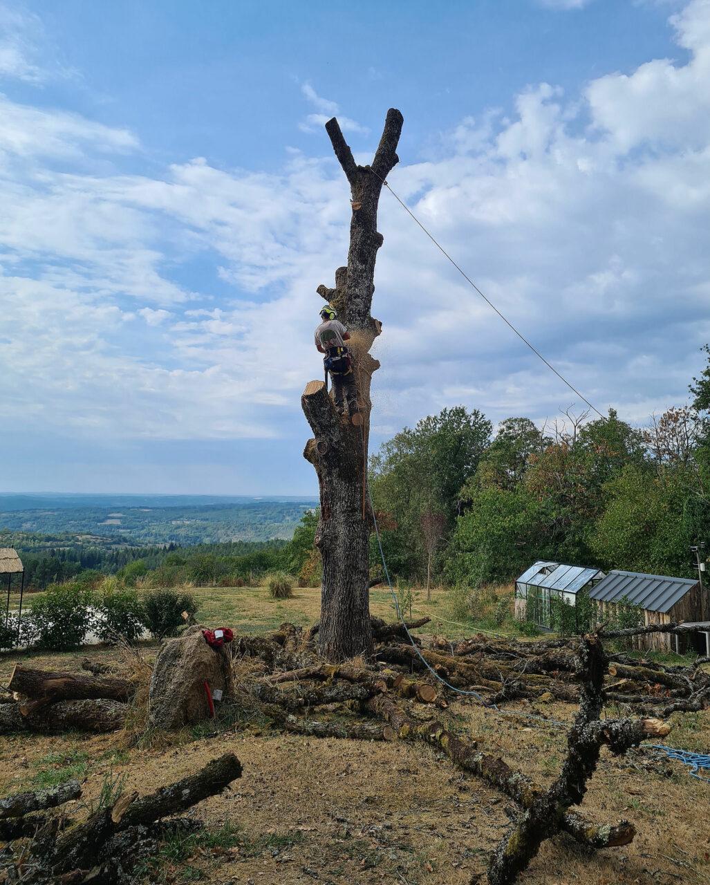 Réalisation Elag'Arbres 31