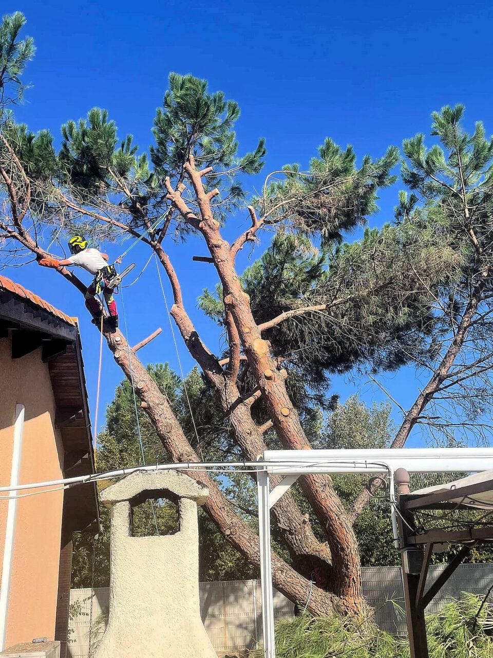 Réalisation Elag'Arbres 31