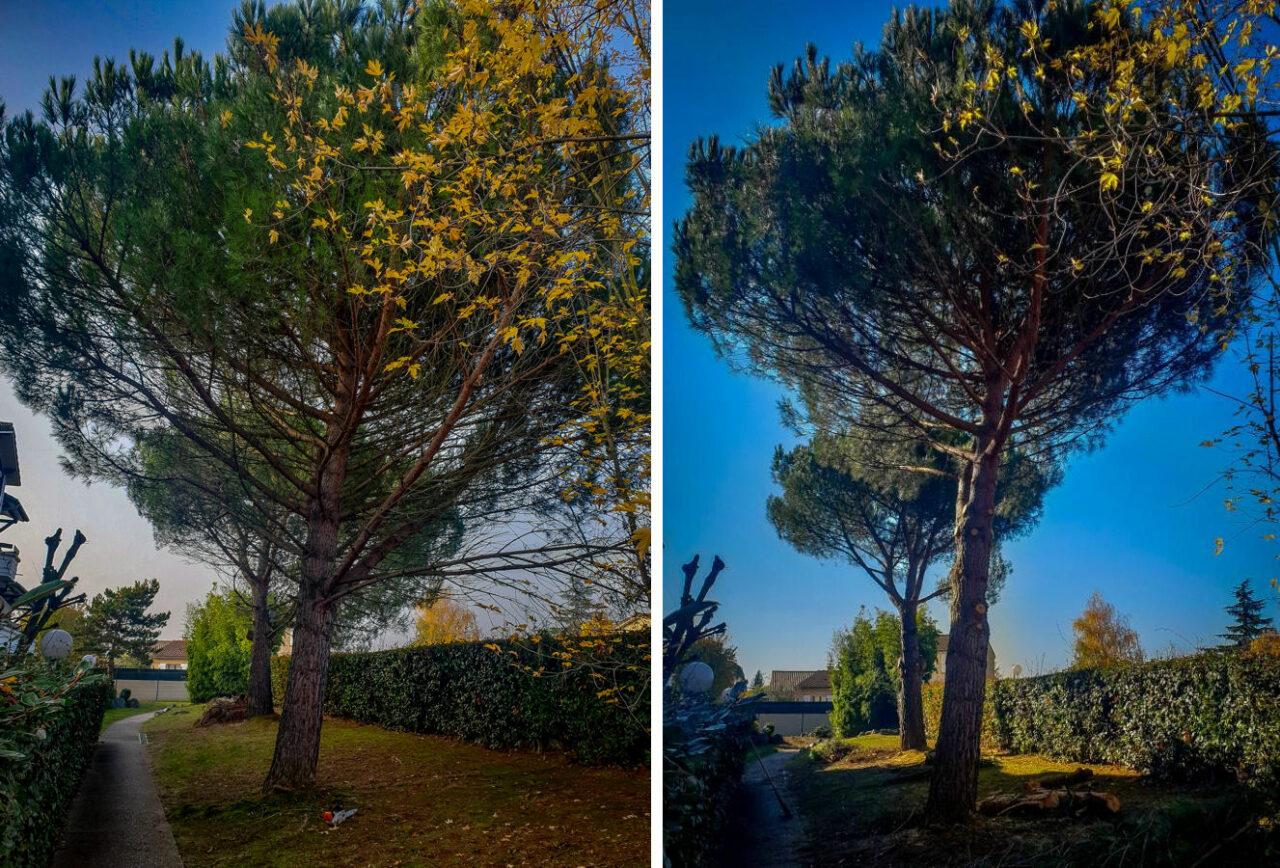 Réalisation Elag'Arbres 31