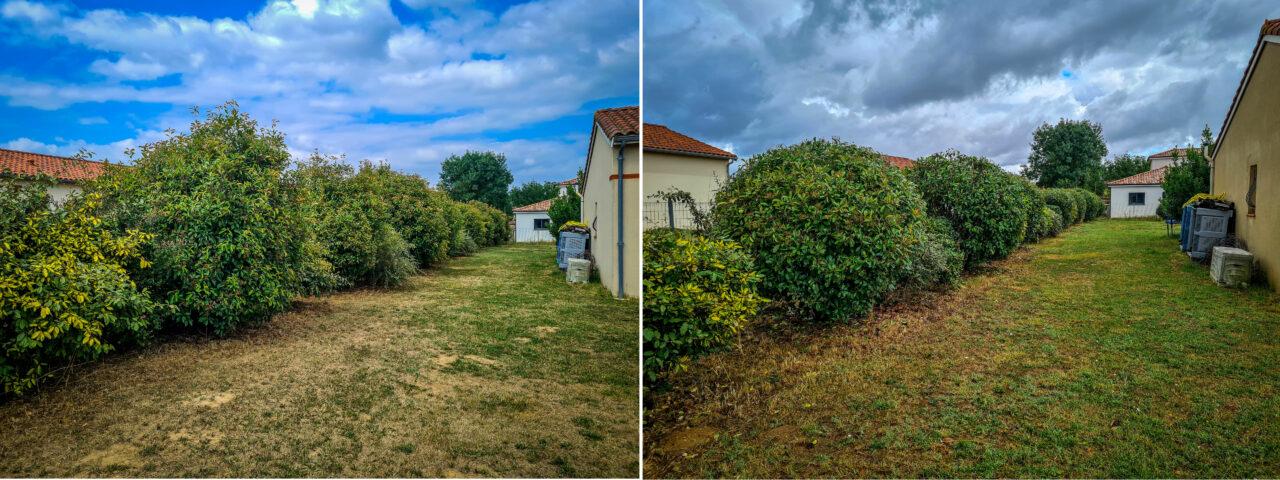 Réalisation Elag'Arbres 31