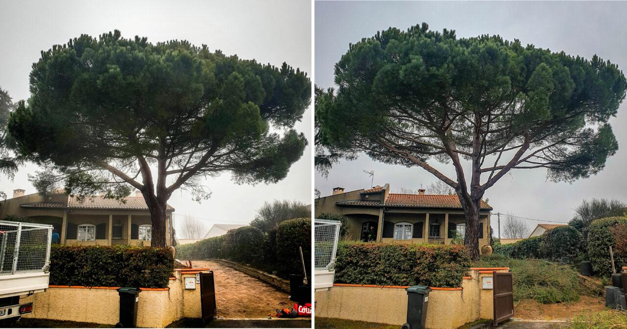 Réalisation Elag'Arbres 31