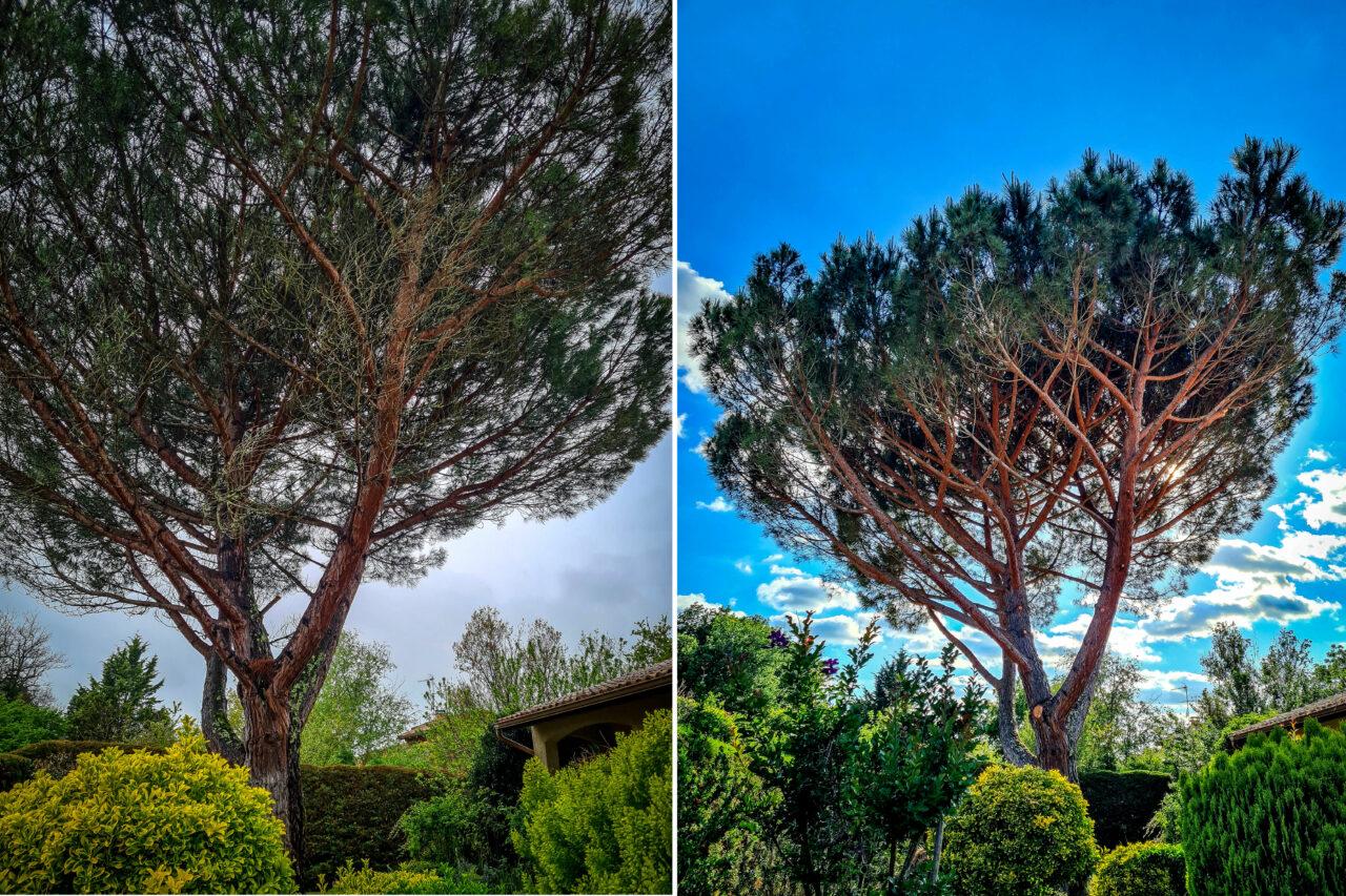 Réalisation Elag'Arbres 31
