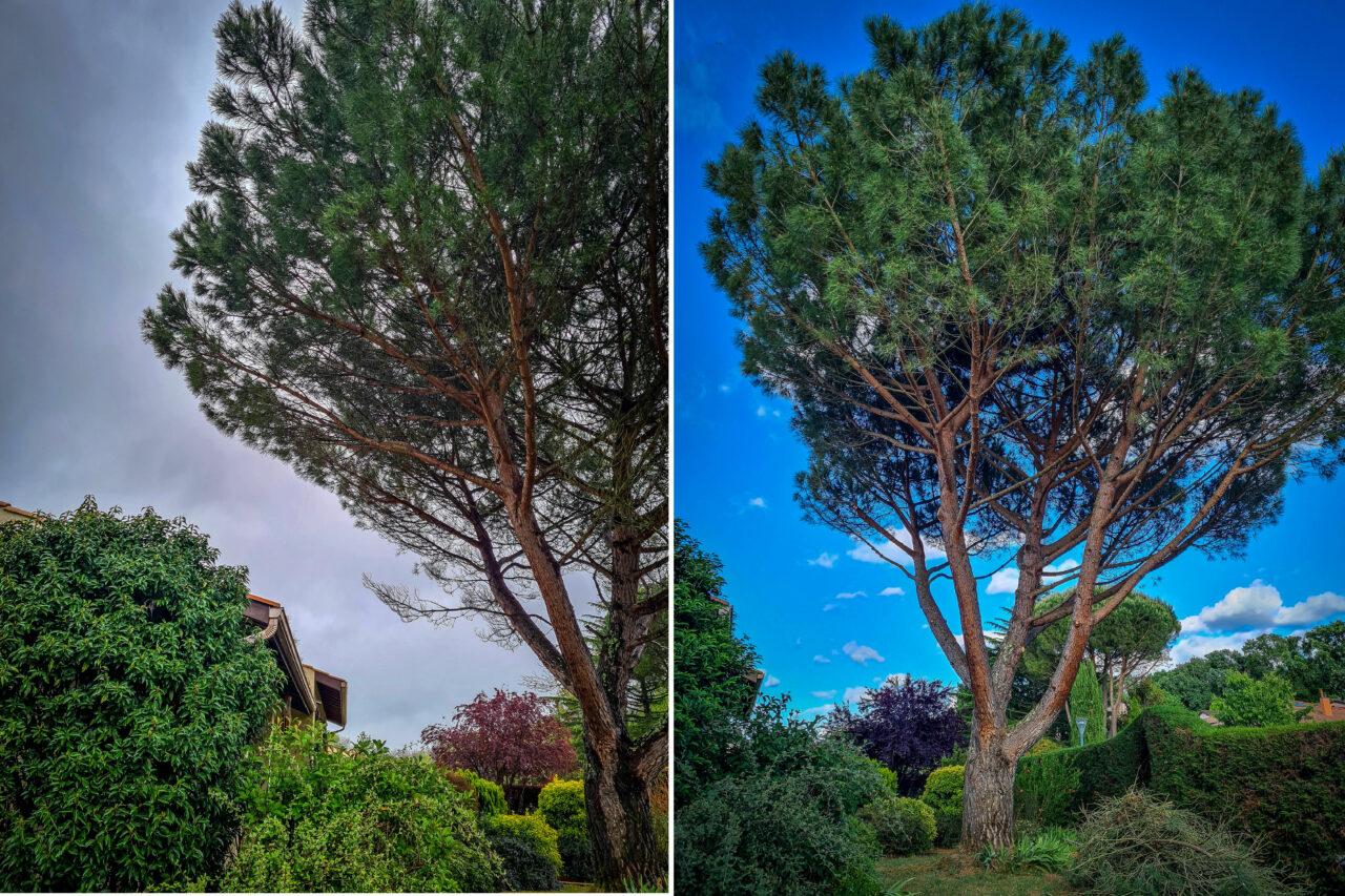 Réalisation Elag'Arbres 31