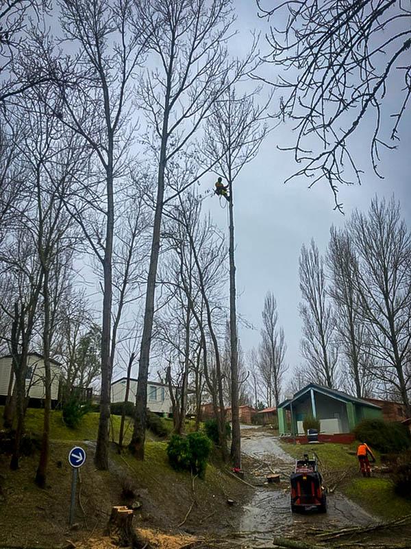 Réalisation Elag'Arbres 31