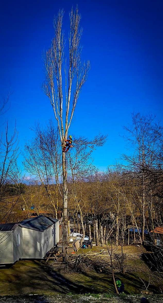 Réalisation Elag'Arbres 31
