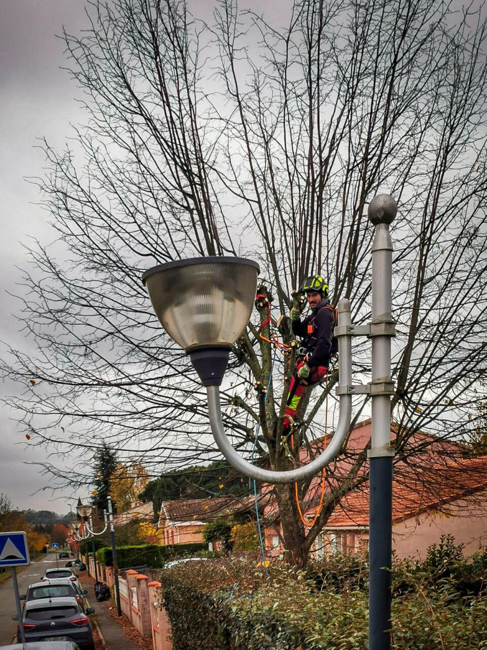 Réalisation Elag'Arbres 31