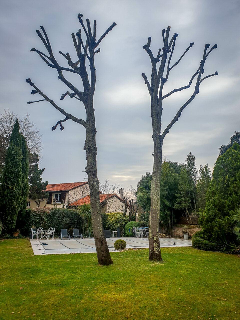Réalisation Elag'Arbres 31