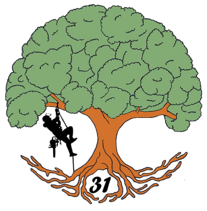 Elag'arbres 31