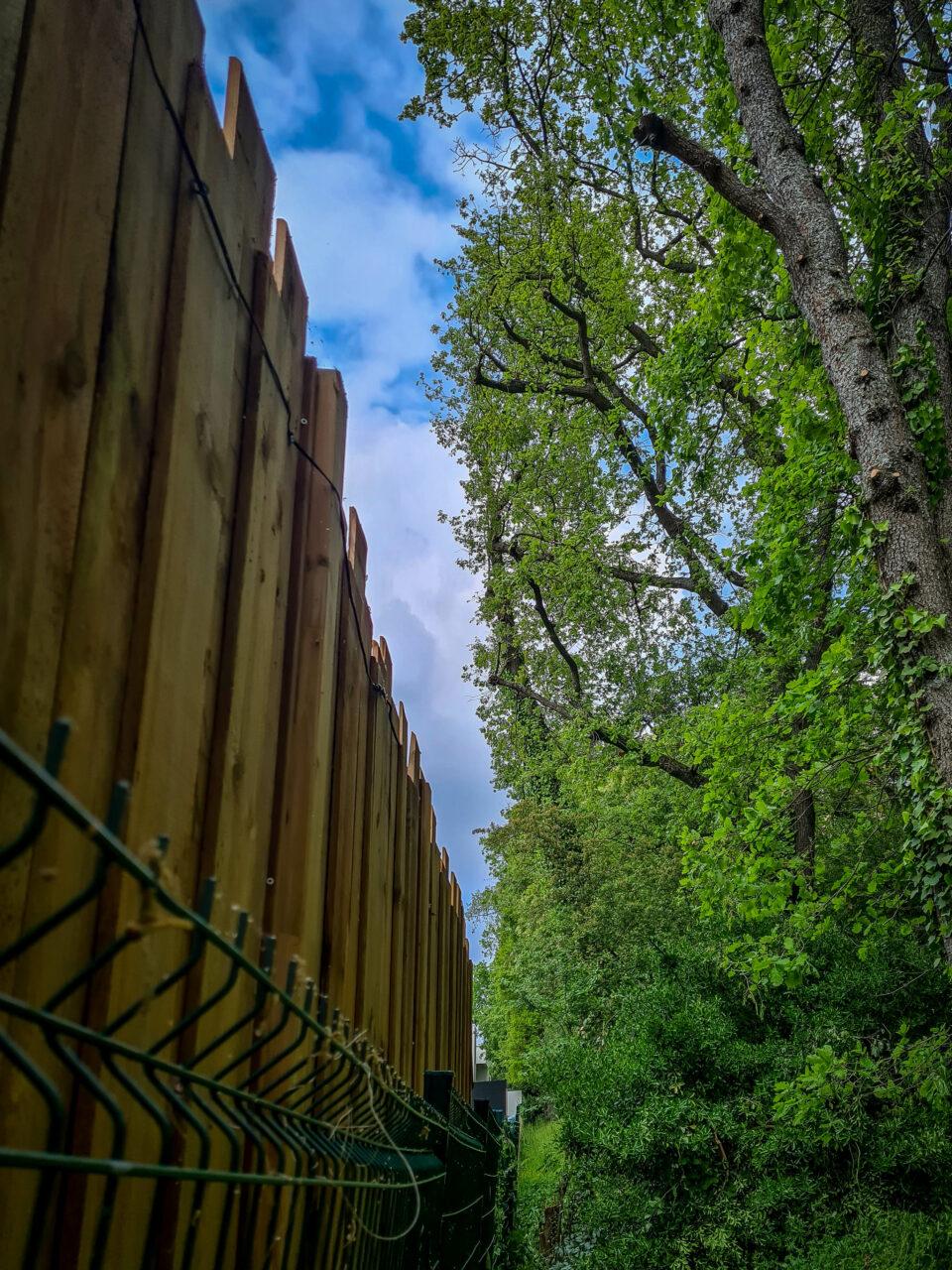 Réalisation Elag'Arbres 31