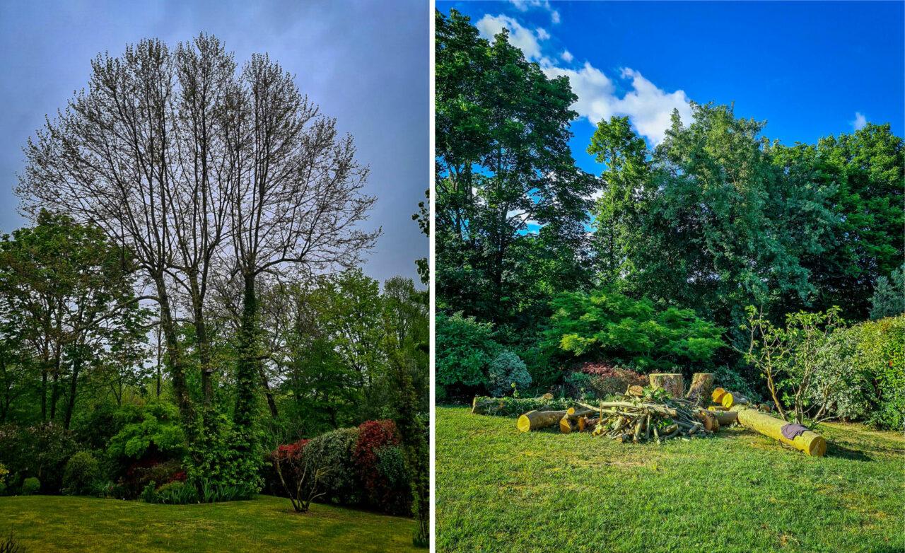 Réalisation Elag'Arbres 31